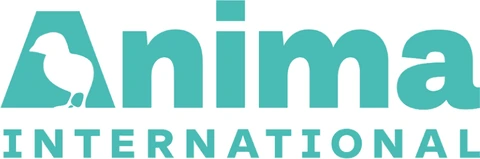 Anima International